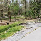 Review photo of Cades Cove Campground by Jean C., May 1, 2019