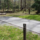 Review photo of Cades Cove Campground by Jean C., May 1, 2019