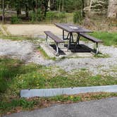 Review photo of Cades Cove Campground by Jean C., May 1, 2019