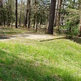 Review photo of Cades Cove Campground by Jean C., May 1, 2019