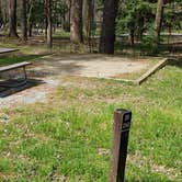 Review photo of Cades Cove Campground by Jean C., May 1, 2019