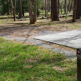 Review photo of Cades Cove Campground by Jean C., May 1, 2019