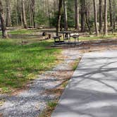 Review photo of Cades Cove Campground by Jean C., May 1, 2019