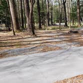 Review photo of Cades Cove Campground by Jean C., May 1, 2019