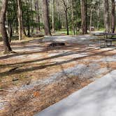 Review photo of Cades Cove Campground by Jean C., May 1, 2019