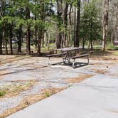 Review photo of Cades Cove Campground by Jean C., May 1, 2019