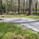 Review photo of Cades Cove Campground by Jean C., May 1, 2019