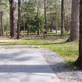 Review photo of Cades Cove Campground by Jean C., May 1, 2019