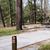 Review photo of Cades Cove Campground by Jean C., May 1, 2019