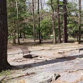 Review photo of Cades Cove Campground by Jean C., May 1, 2019