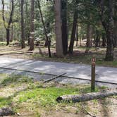 Review photo of Cades Cove Campground by Jean C., May 1, 2019