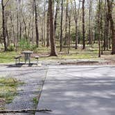Review photo of Cades Cove Campground by Jean C., May 1, 2019