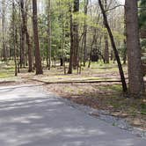 Review photo of Cades Cove Campground by Jean C., May 1, 2019