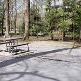 Review photo of Cades Cove Campground by Jean C., May 1, 2019