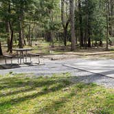 Review photo of Cades Cove Campground by Jean C., May 1, 2019