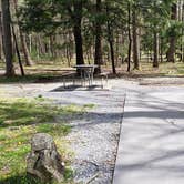 Review photo of Cades Cove Campground by Jean C., May 1, 2019