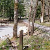 Review photo of Cades Cove Campground by Jean C., May 1, 2019