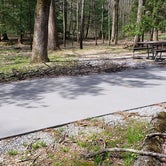 Review photo of Cades Cove Campground by Jean C., May 1, 2019