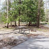 Review photo of Cades Cove Campground by Jean C., May 1, 2019