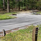 Review photo of Cades Cove Campground by Jean C., May 1, 2019