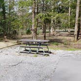 Review photo of Cades Cove Campground by Jean C., May 1, 2019