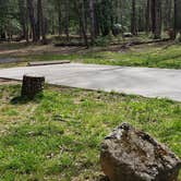 Review photo of Cades Cove Campground by Jean C., May 1, 2019