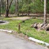 Review photo of Cades Cove Campground by Jean C., May 1, 2019