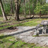 Review photo of Cades Cove Campground by Jean C., May 1, 2019
