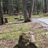 Review photo of Cades Cove Campground by Jean C., May 1, 2019