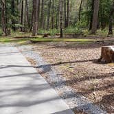 Review photo of Cades Cove Campground by Jean C., May 1, 2019