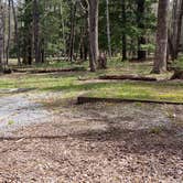 Review photo of Cades Cove Campground by Jean C., May 1, 2019