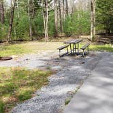 Review photo of Cades Cove Campground by Jean C., May 1, 2019