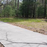 Review photo of Cades Cove Campground by Jean C., May 1, 2019