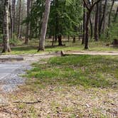 Review photo of Cades Cove Campground by Jean C., May 1, 2019