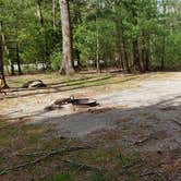 Review photo of Cades Cove Campground by Jean C., May 1, 2019