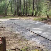 Review photo of Cades Cove Campground by Jean C., May 1, 2019