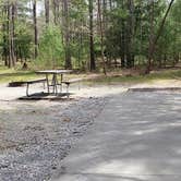 Review photo of Cades Cove Campground by Jean C., May 1, 2019
