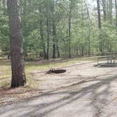 Review photo of Cades Cove Campground by Jean C., May 1, 2019