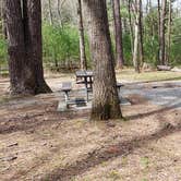 Review photo of Cades Cove Campground by Jean C., May 1, 2019