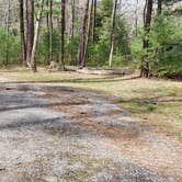 Review photo of Cades Cove Campground by Jean C., May 1, 2019