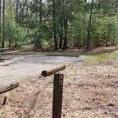 Review photo of Cades Cove Campground by Jean C., May 1, 2019