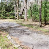 Review photo of Cades Cove Campground by Jean C., May 1, 2019