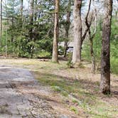 Review photo of Cades Cove Campground by Jean C., May 1, 2019