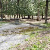 Review photo of Cades Cove Campground by Jean C., May 1, 2019