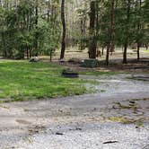 Review photo of Cades Cove Campground by Jean C., May 1, 2019