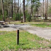 Review photo of Cades Cove Campground by Jean C., May 1, 2019