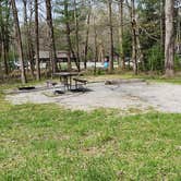 Review photo of Cades Cove Campground by Jean C., May 1, 2019
