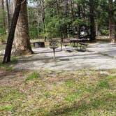 Review photo of Cades Cove Campground by Jean C., May 1, 2019