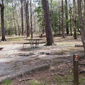 Review photo of Cades Cove Campground by Jean C., May 1, 2019