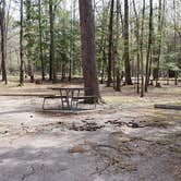 Review photo of Cades Cove Campground by Jean C., May 1, 2019